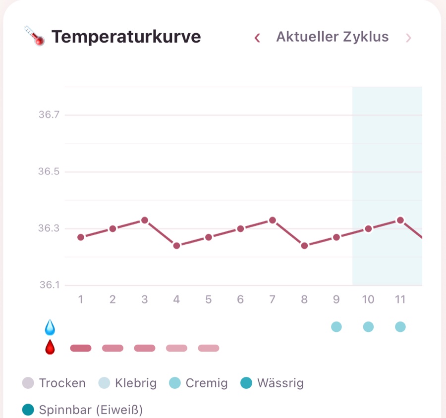 Echte NFP-Temperaturkurve aus der App: Anstieg nach dem Eisprung, Hüllkurve und ES-Markierung